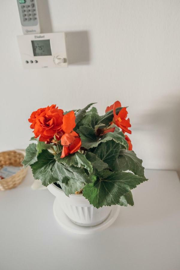 Apartman "Joka" Ðakovo 외부 사진